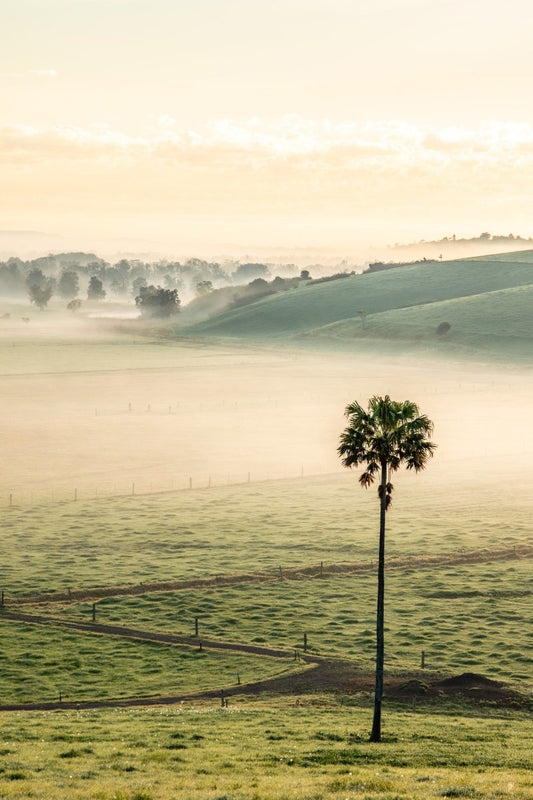 Jamberoo "Swamp Fog" Acrylic Block