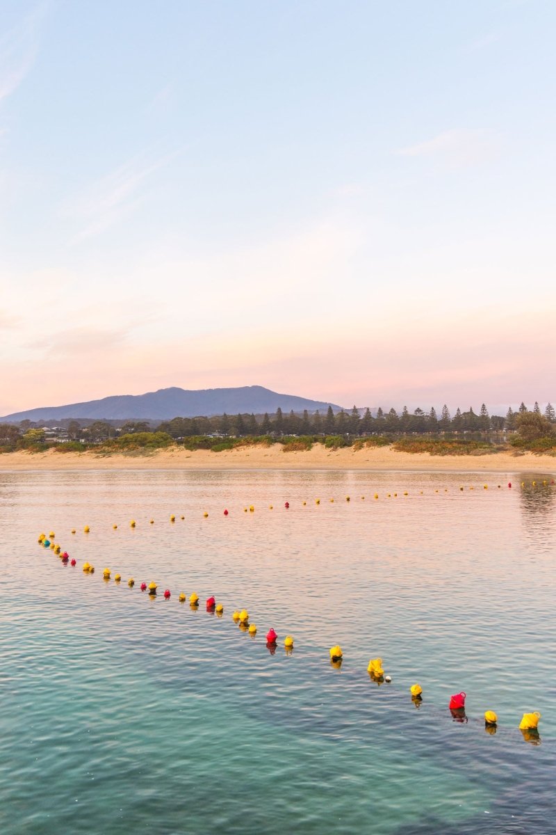 "Swim Zone" Photography Print - Belinda Doyle - Australian Photographer & Resin Artist
