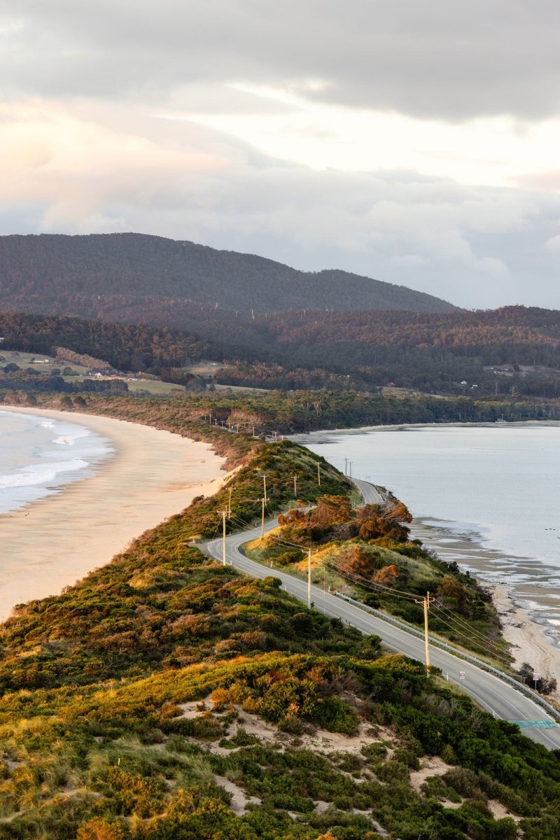 "The Neck" Photography Print - Belinda Doyle - Australian Photographer & Resin Artist