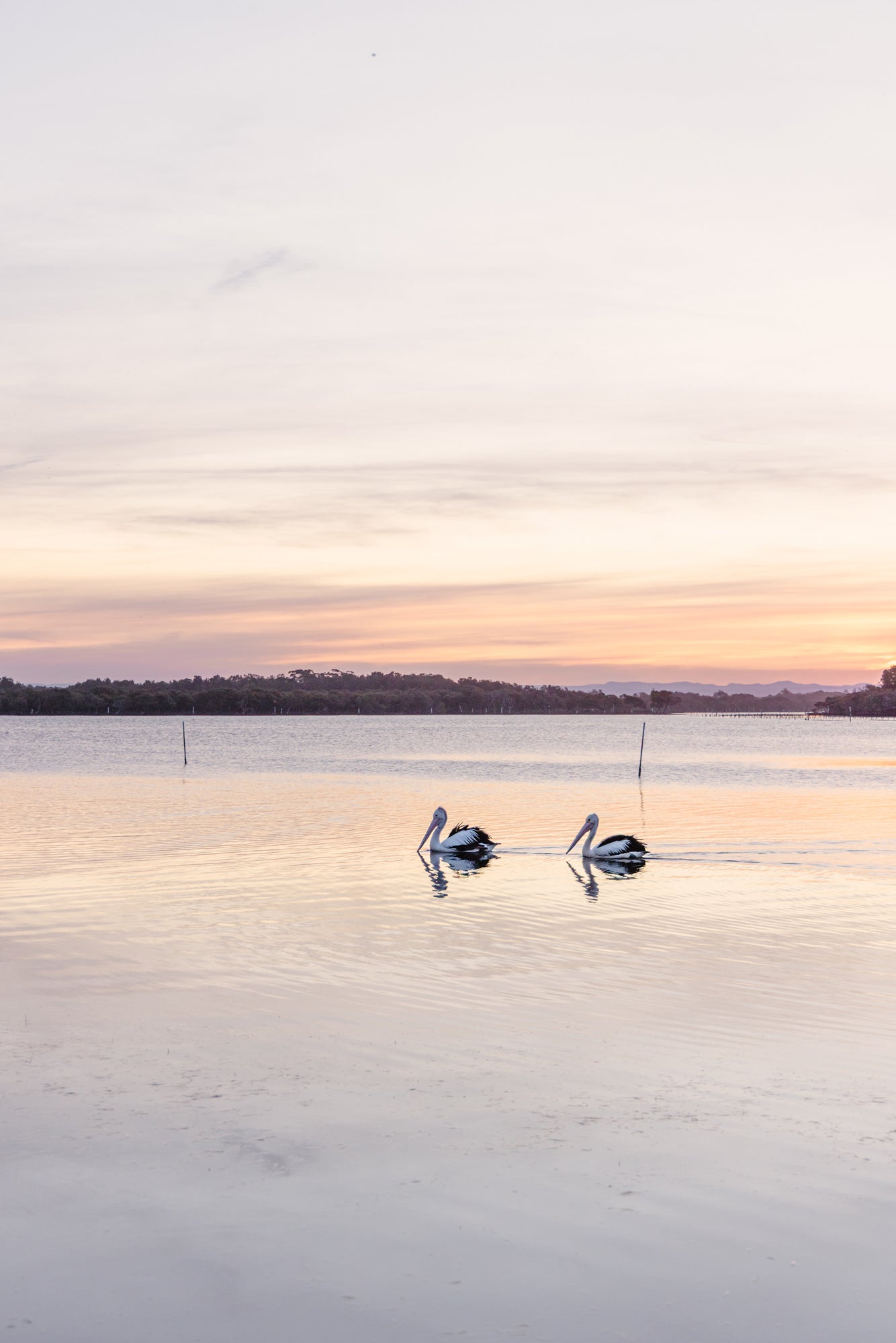 "Together at Twilight" Photography Print - Belinda Doyle - Australian Photographer & Resin Artist
