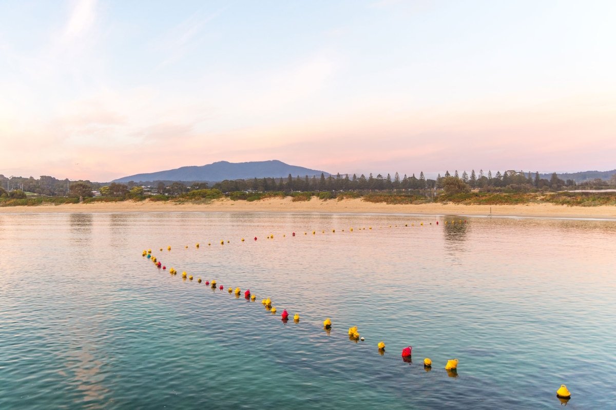 "Wagonga Beach Swim Zone" Photography Print - Belinda Doyle - Australian Photographer & Resin Artist