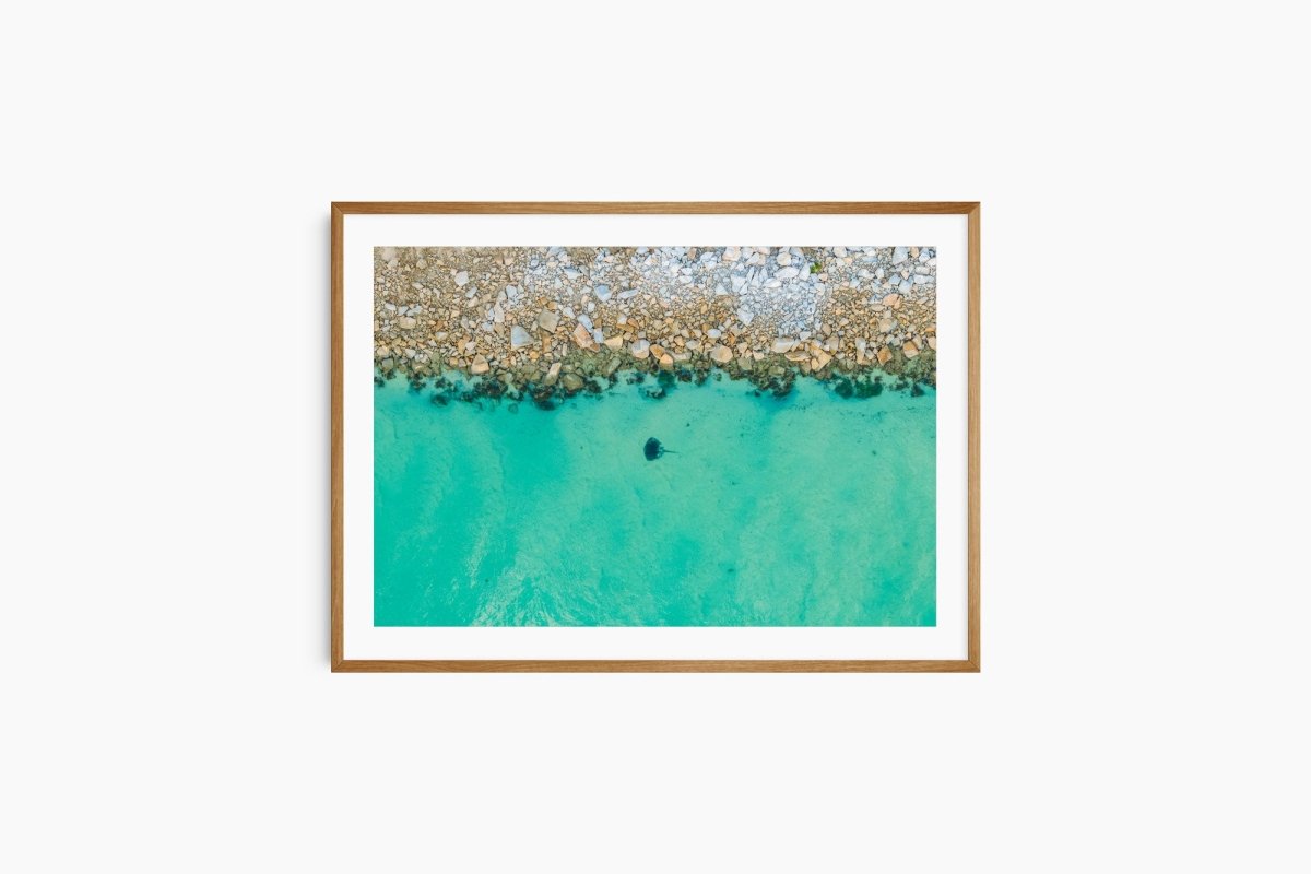 "Wagonga Ray" Photography Print - Belinda Doyle - Australian Photographer & Resin Artist