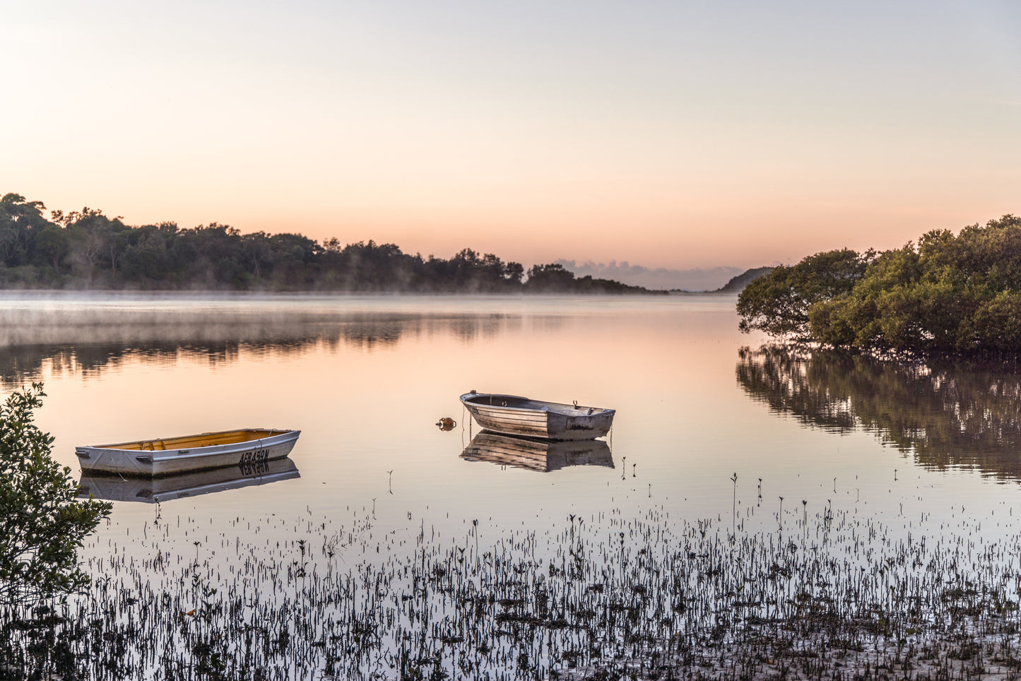 "Whispers of Morning" Photography Print