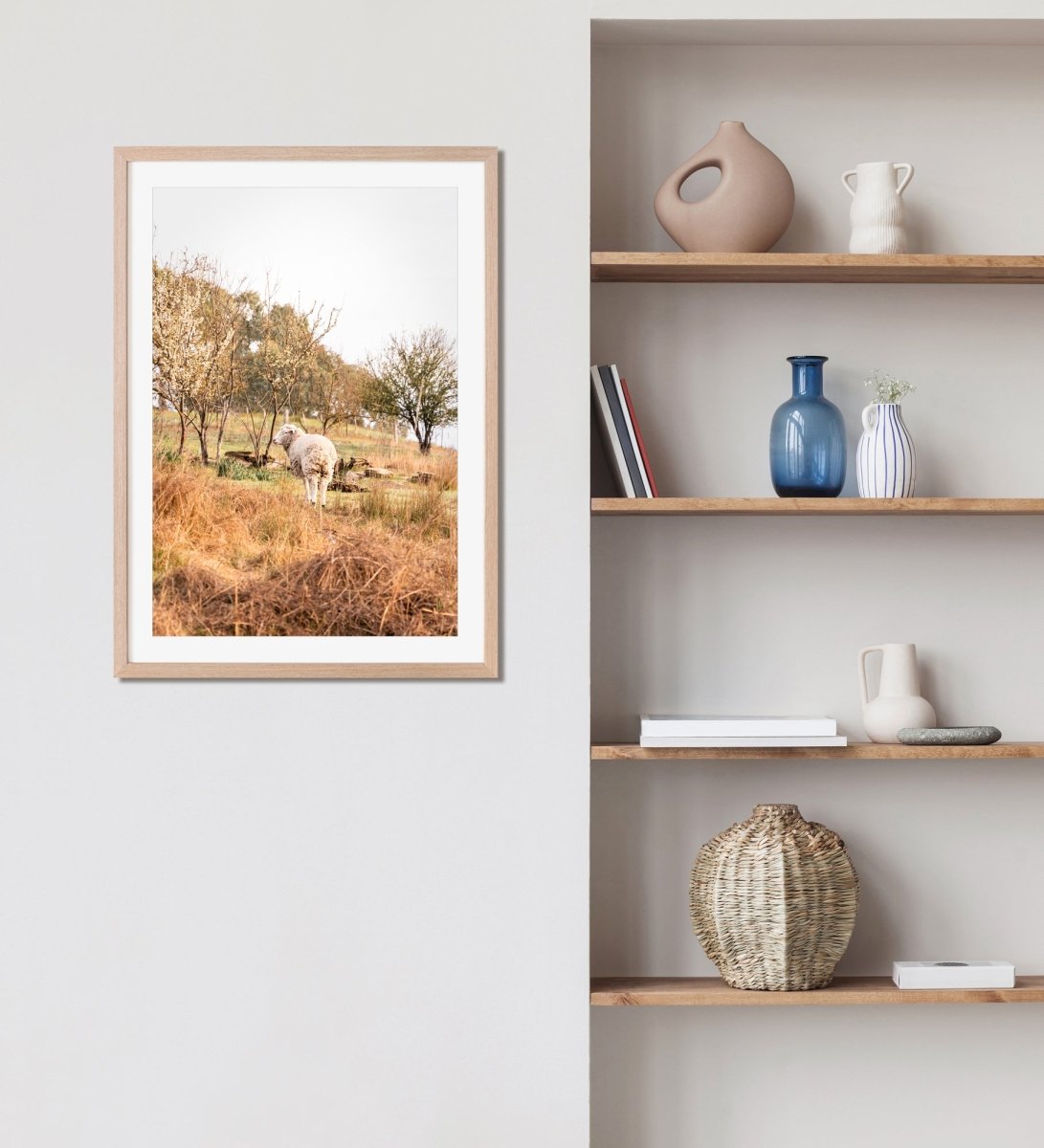 "Wooly Blossom" Photography Print - Belinda Doyle - Australian Photographer & Resin Artist