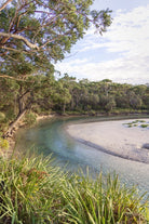 "Wowly Greens" Photography Print - Belinda Doyle - Australian Photographer & Resin Artist