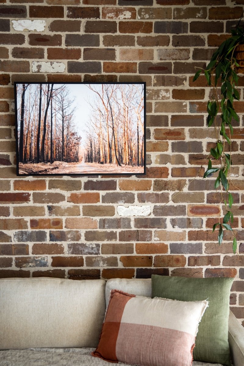 "Mount Agony Road" Photography Print - Belinda Doyle - Australian Photographer & Resin Artist