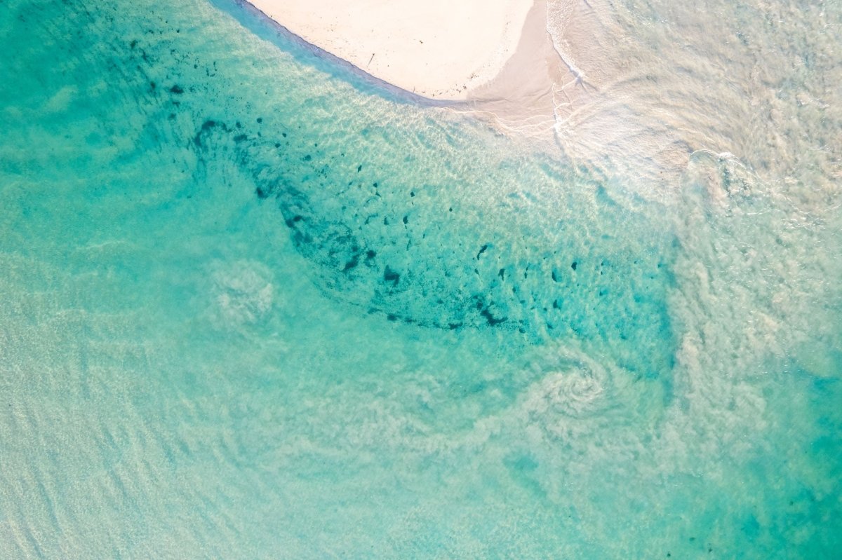 "Aerial Elegance" Photography Print - Belinda Doyle - Australian Photographer & Resin Artist
