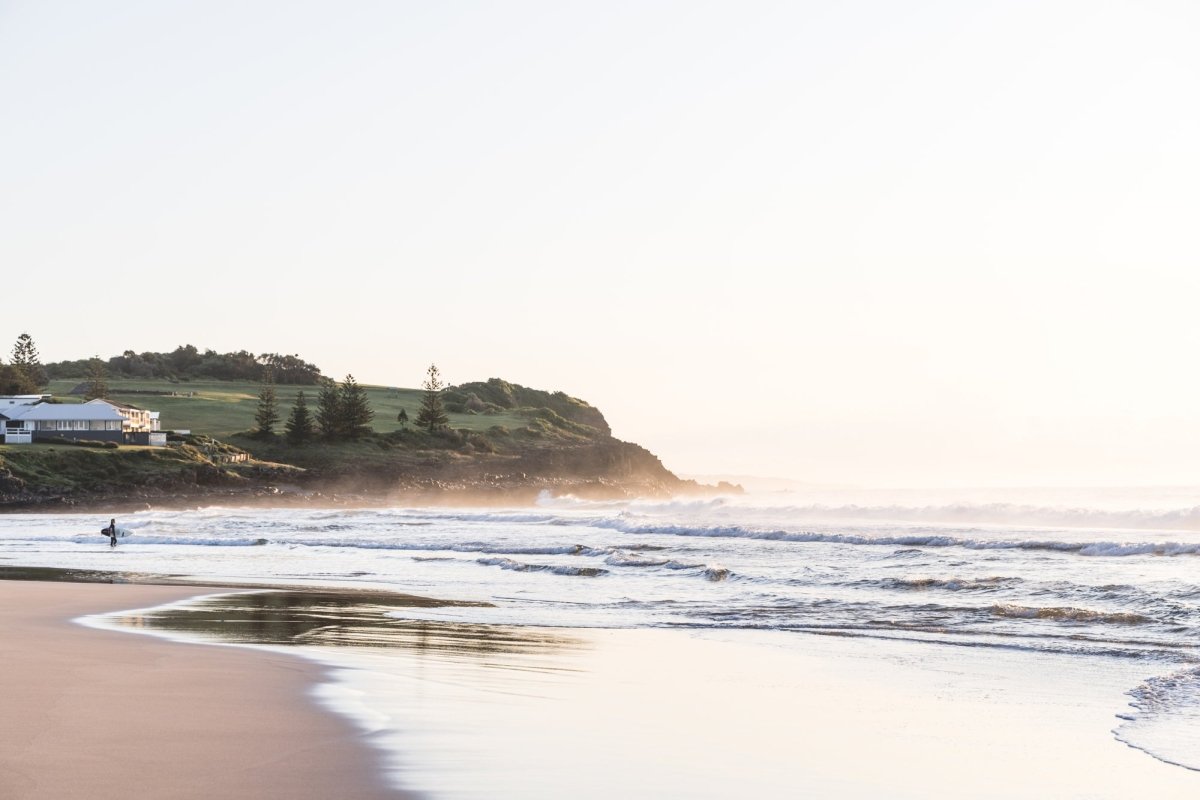 "August at Jones II" Photography Print - Belinda Doyle - Australian Photographer & Resin Artist
