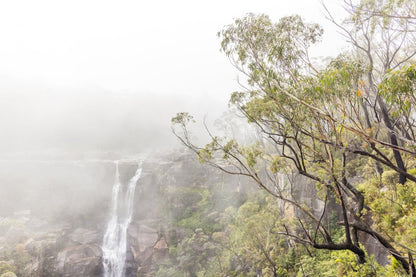 "August Mist" Photography Print - Belinda Doyle - Australian Photographer & Resin Artist