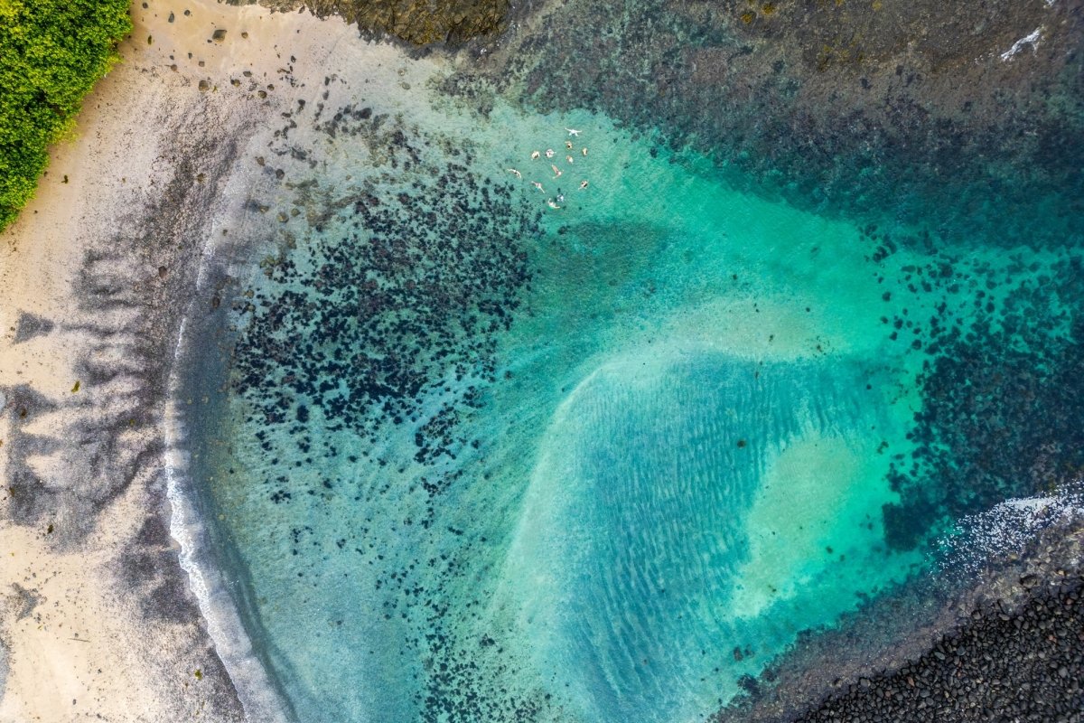 "Boneyard Synchro" Photography Print - Belinda Doyle - Australian Photographer & Resin Artist