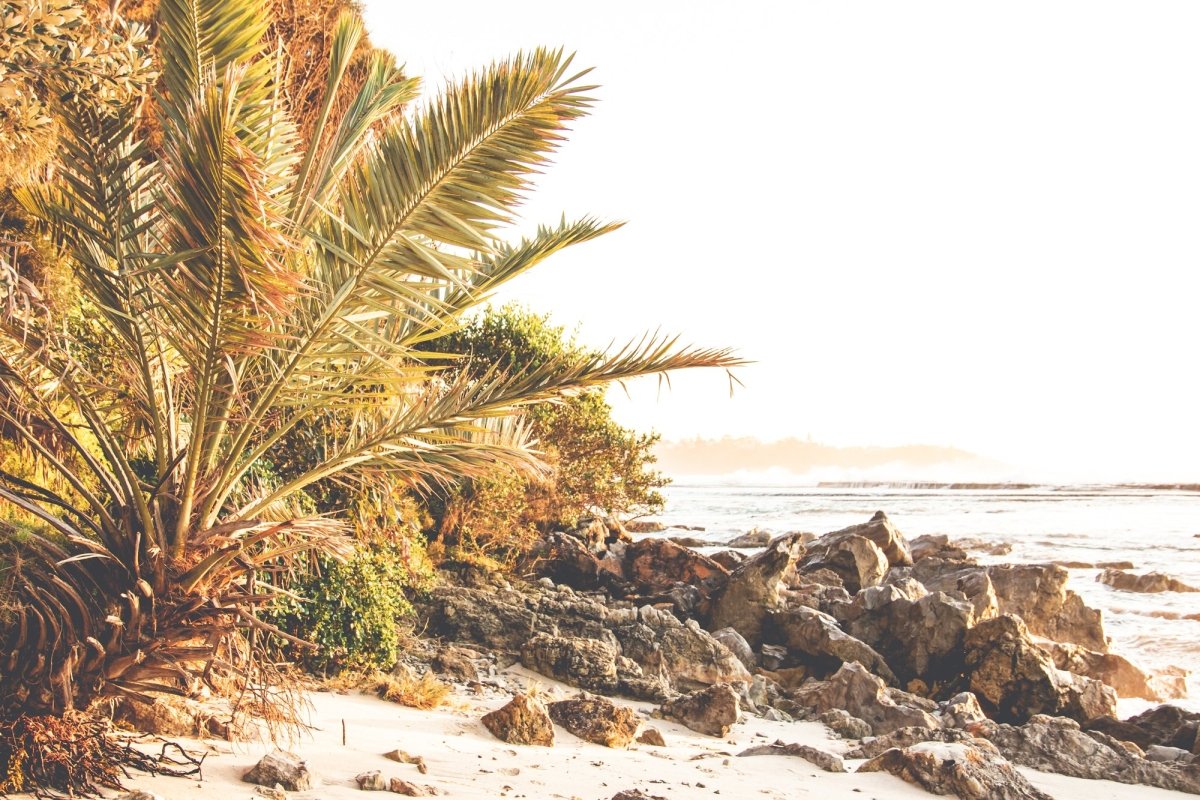 "Burleigh Way" Photography Print - Belinda Doyle - Resin Artist & South Coast Photographer