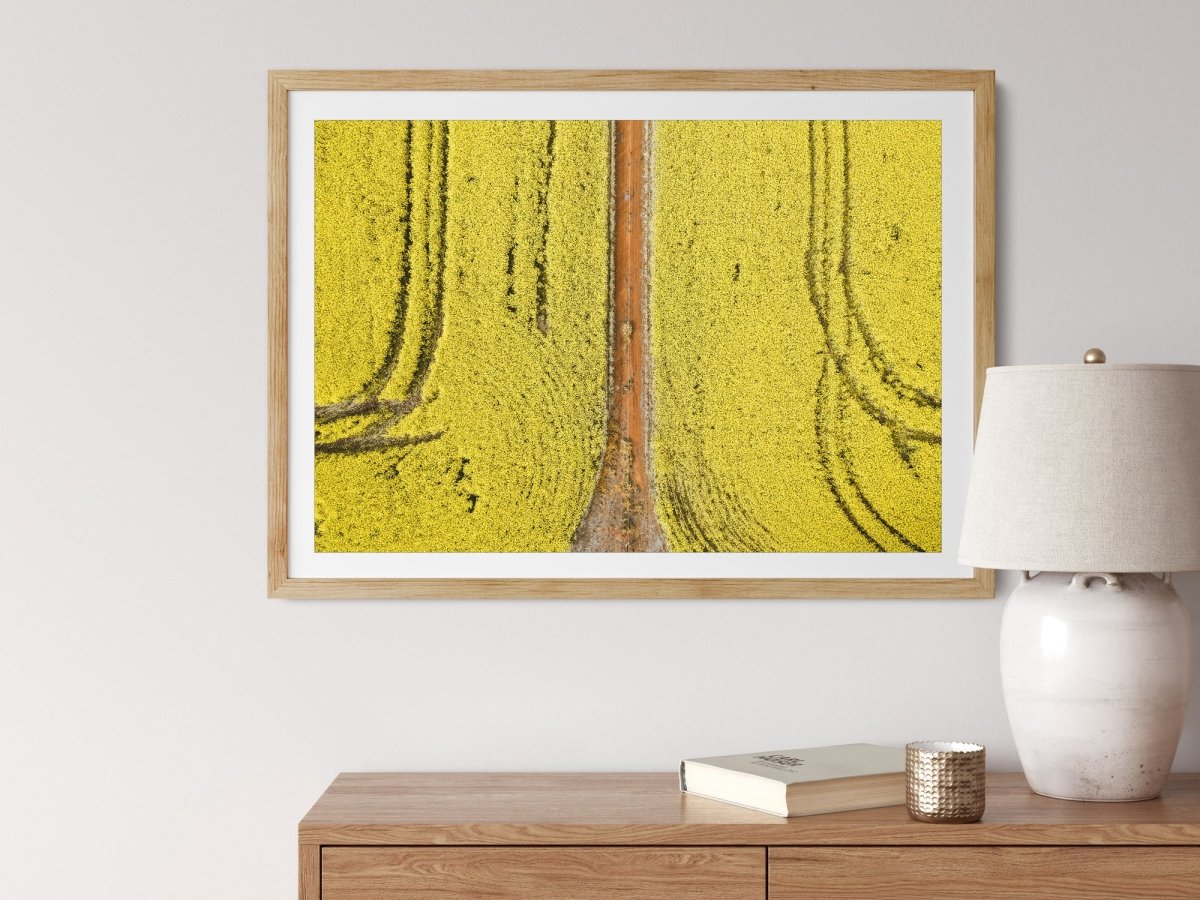 "Canola Course" Photography Print - Belinda Doyle - Australian Photographer & Resin Artist