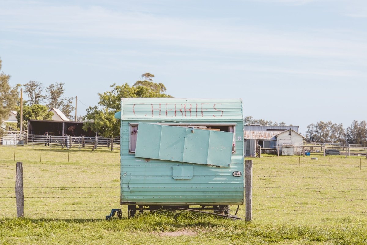"Cherry Pit Stop" Photography Print - Belinda Doyle - Australian Photographer & Resin Artist