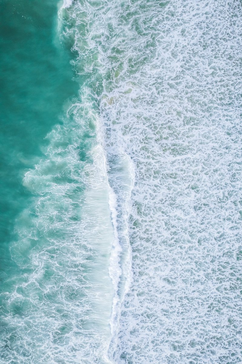 "Coastal Fringe" Photography Print - Belinda Doyle - Australian Photographer & Resin Artist
