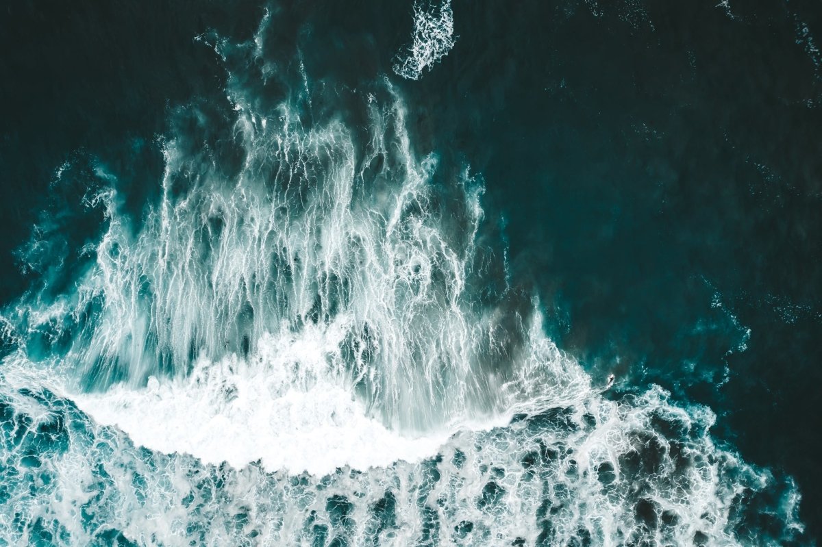 "Collers Contrast" Photography Print - Belinda Doyle - Australian Photographer & Resin Artist
