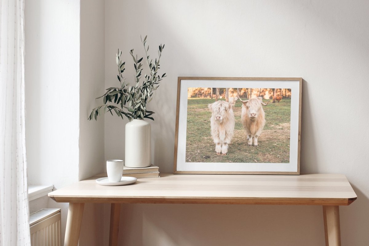 "Dallin & Finlay" Photography Print - Belinda Doyle - Resin Artist & South Coast Photographer