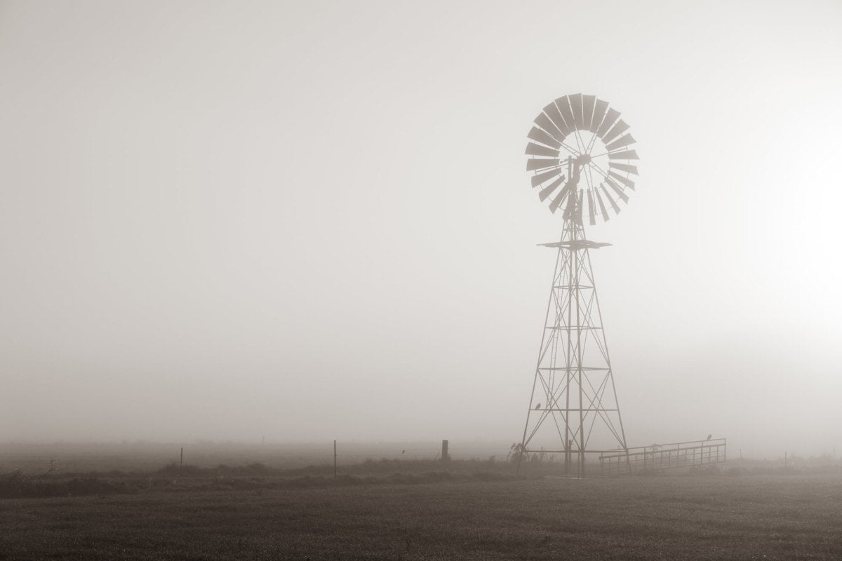 "Face the Wind" Photography Print - Belinda Doyle - Australian Photographer & Resin Artist