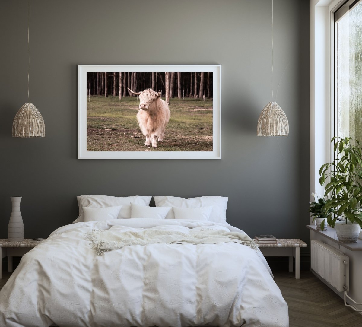 "Finlay" Photography Print - Belinda Doyle - Resin Artist & South Coast Photographer