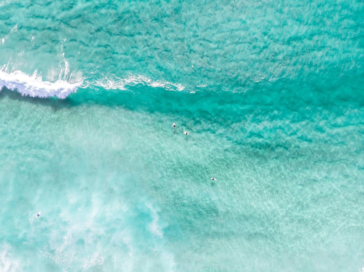 "Fresh Clarity" Photography Print - Belinda Doyle - Resin Artist & South Coast Photographer