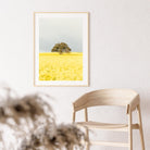 "Goldie" Photography Print - Belinda Doyle - Australian Photographer & Resin Artist