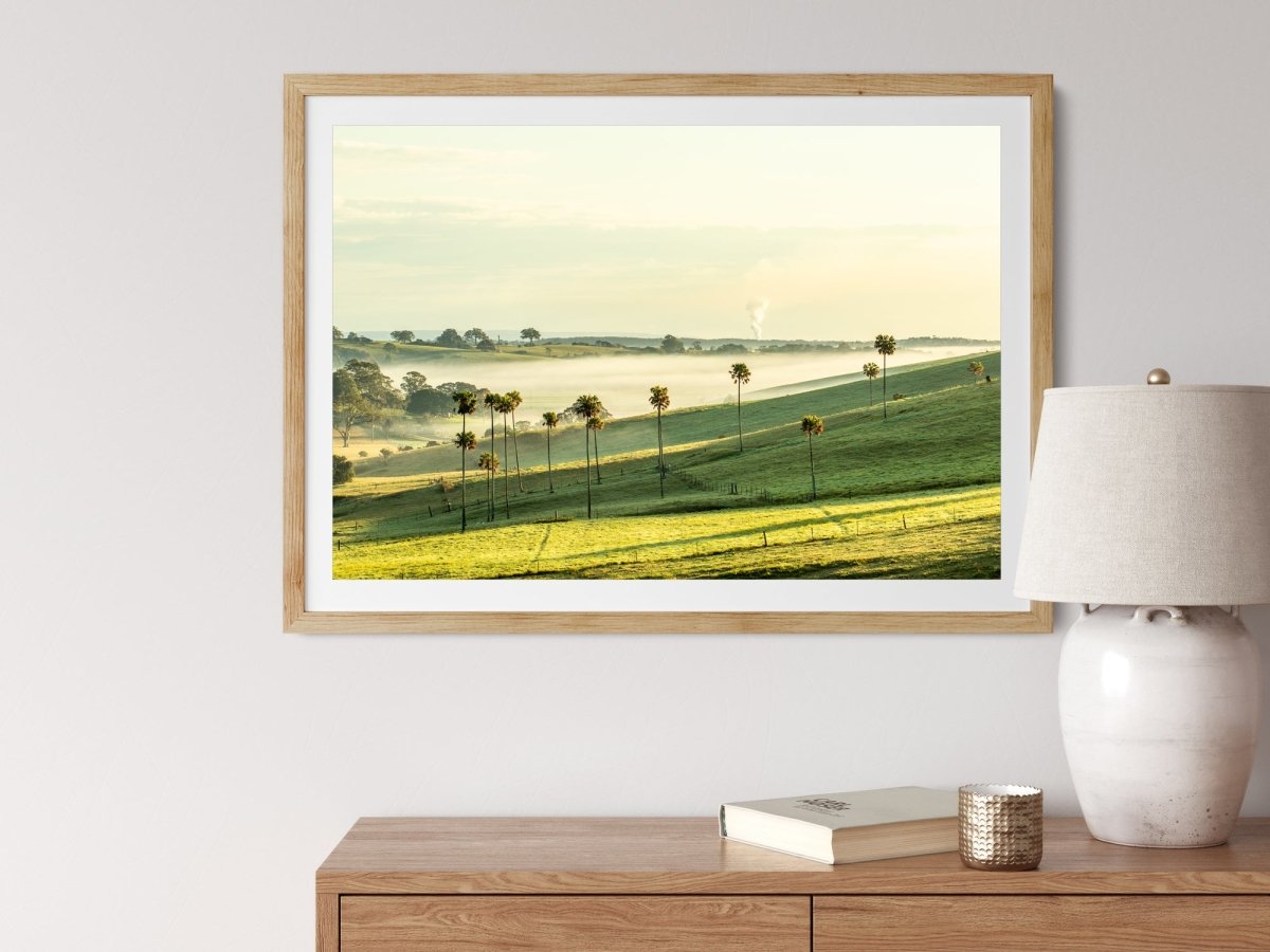"Jerrara Palms" LS Photography Print - Belinda Doyle - Australian Photographer & Resin Artist
