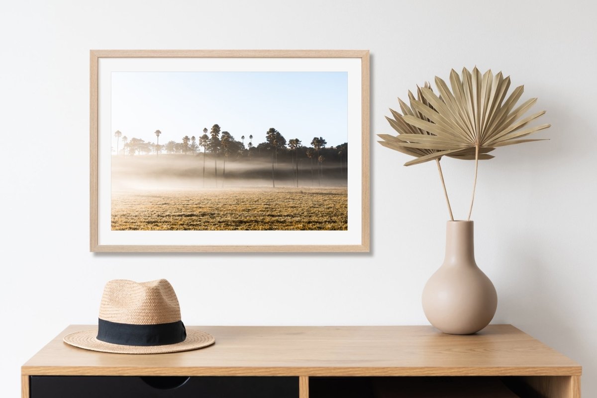"Light & Shade" Photography Print - Belinda Doyle - Australian Photographer & Resin Artist