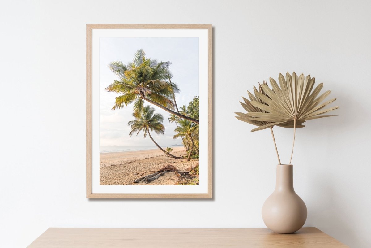 "Mission Beach Palms" Photography Print - Belinda Doyle - Australian Photographer & Resin Artist