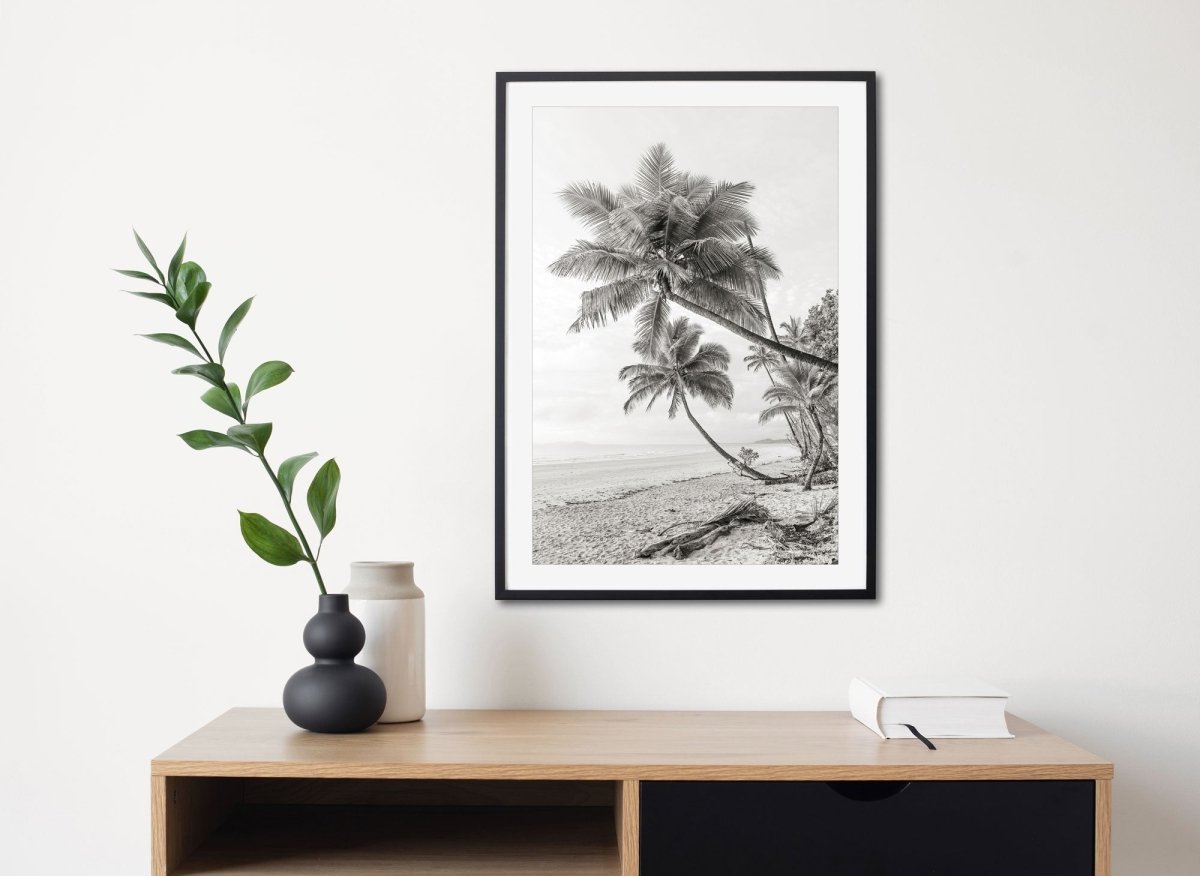 "Mission Beach Palms" BW Photography Print - Belinda Doyle - Australian Photographer & Resin Artist