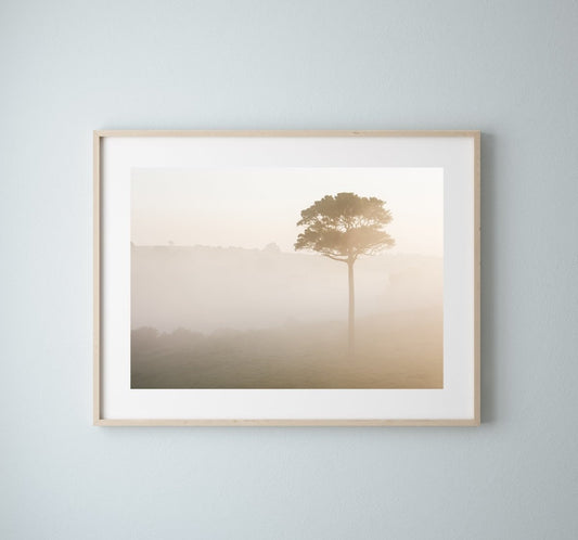 "Morning Fog LS" Photography Print - Belinda Doyle - Australian Photographer & Resin Artist