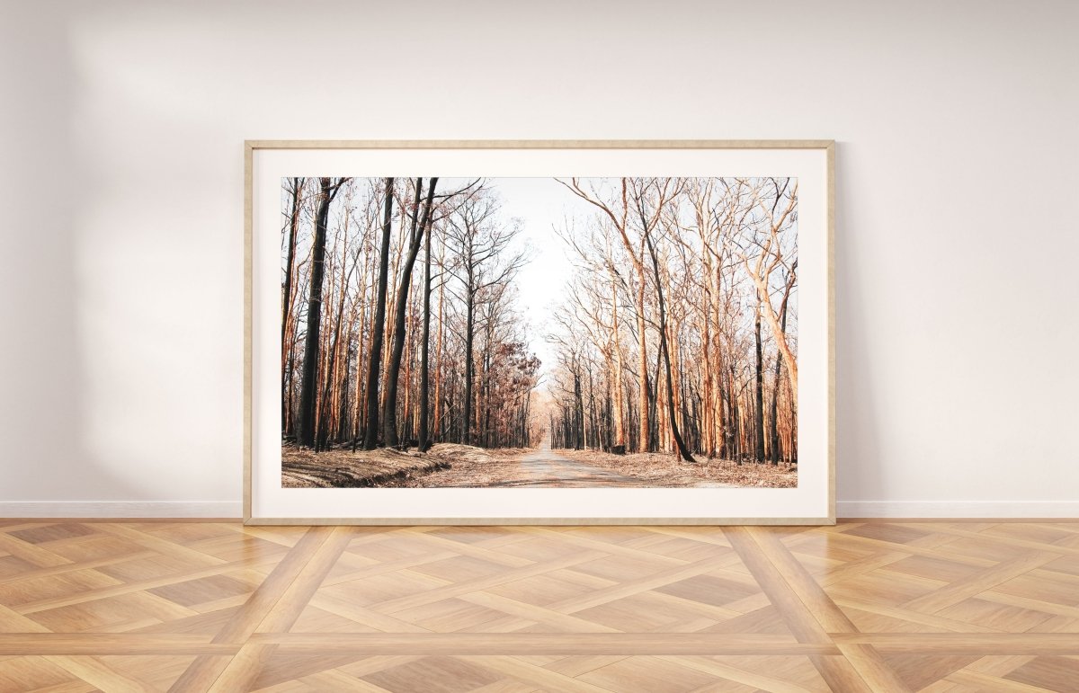 "Mount Agony Road" Photography Print - Belinda Doyle - Resin Artist & South Coast Photographer