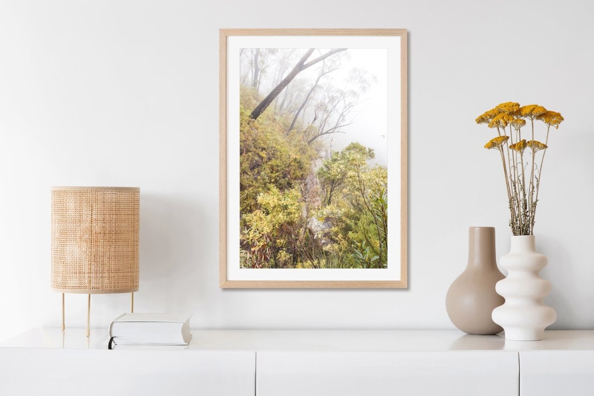 "Native Fog" Photography Print - Belinda Doyle - Australian Photographer & Resin Artist