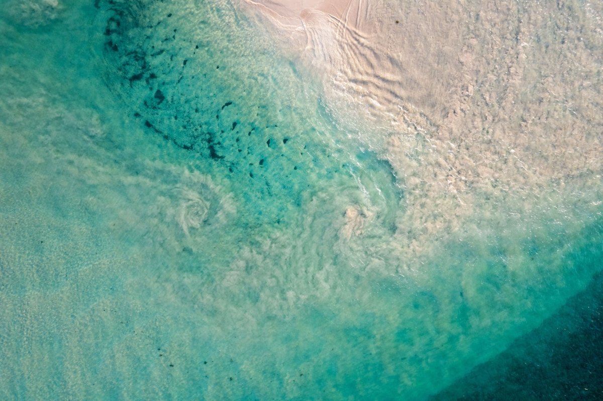 "Natures Whirlpool" Photography Print - Belinda Doyle - Australian Photographer & Resin Artist