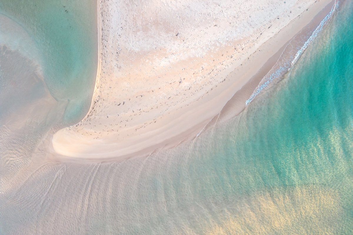"Neritic" Photography Print - Belinda Doyle - Australian Photographer & Resin Artist