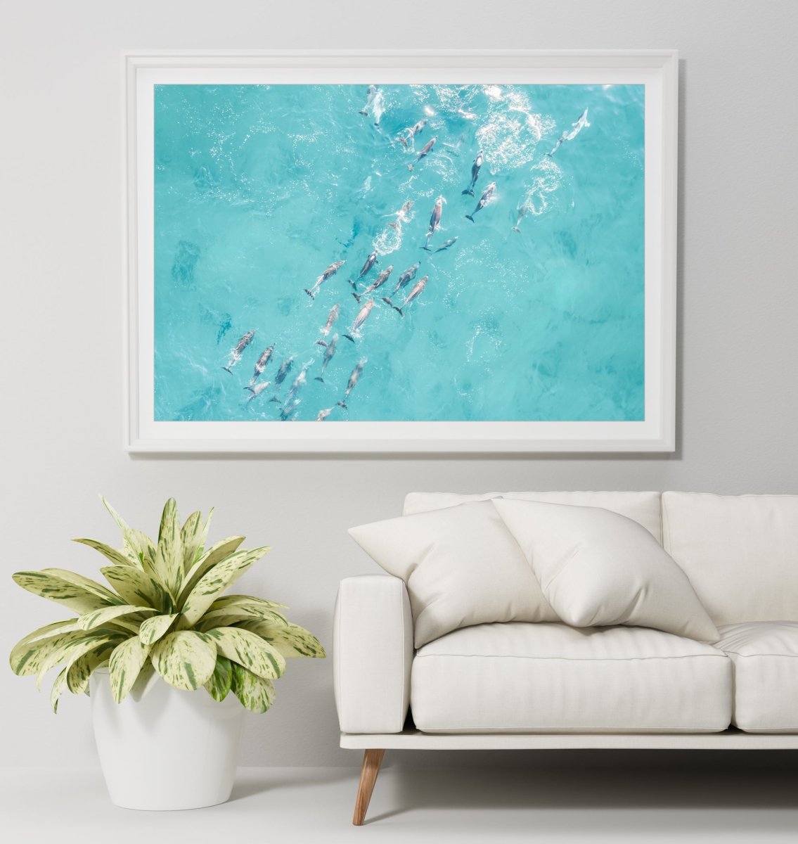 "Playful Pod" Photography Print - Belinda Doyle - Resin Artist & South Coast Photographer