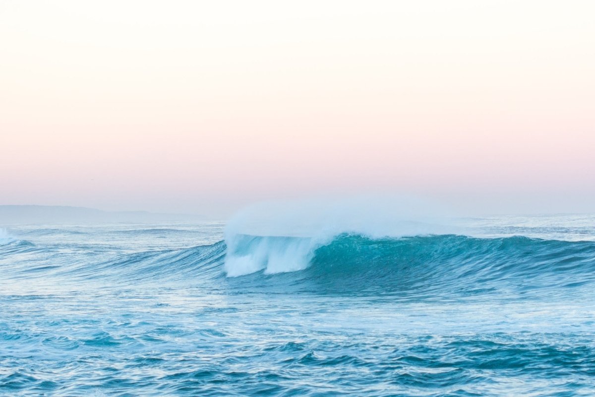 "Pretty but Fierce" Photography Print - Belinda Doyle - Australian Photographer & Resin Artist