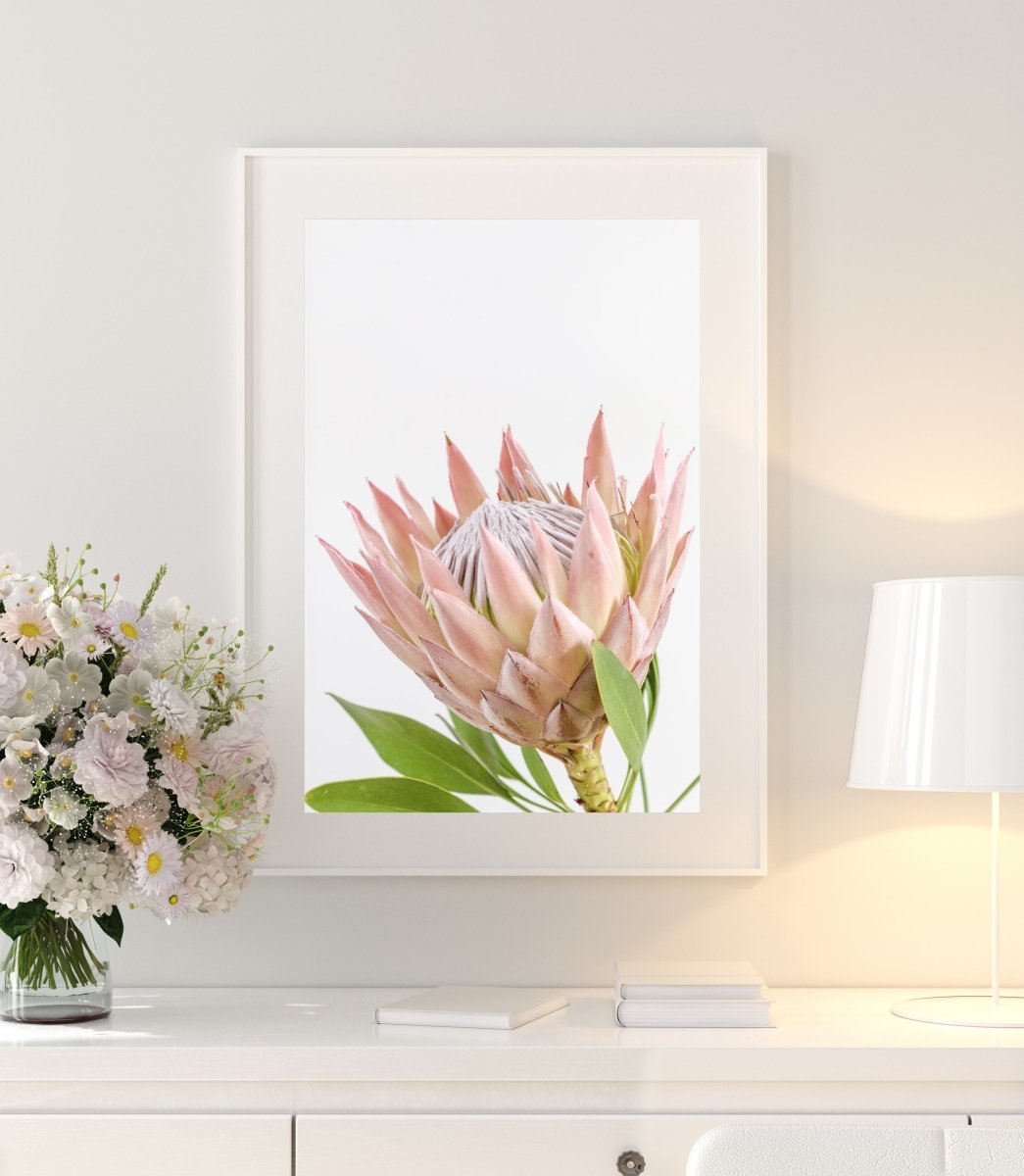 "Protea Bloom" Photography Print - Belinda Doyle - Resin Artist & South Coast Photographer