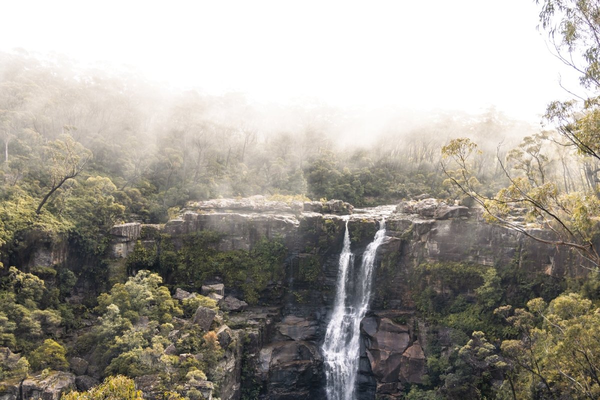"Rainforest Mist" Photography Print - Belinda Doyle - Australian Photographer & Resin Artist