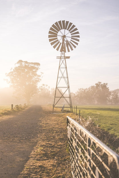 "Riversdale Light" (P) Photography Print - Belinda Doyle - Australian Photographer & Resin Artist