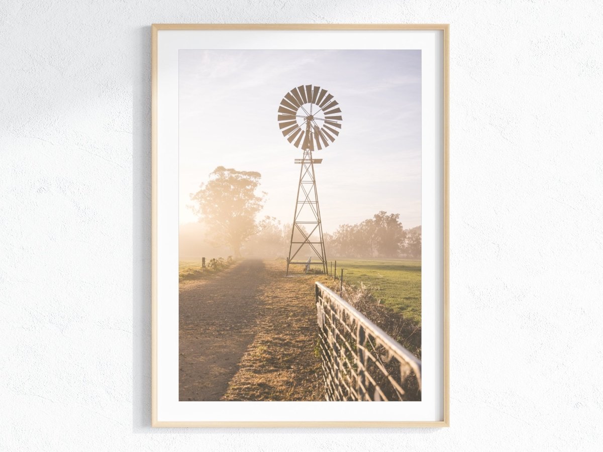 "Riversdale Light" (P) Photography Print - Belinda Doyle - Australian Photographer & Resin Artist