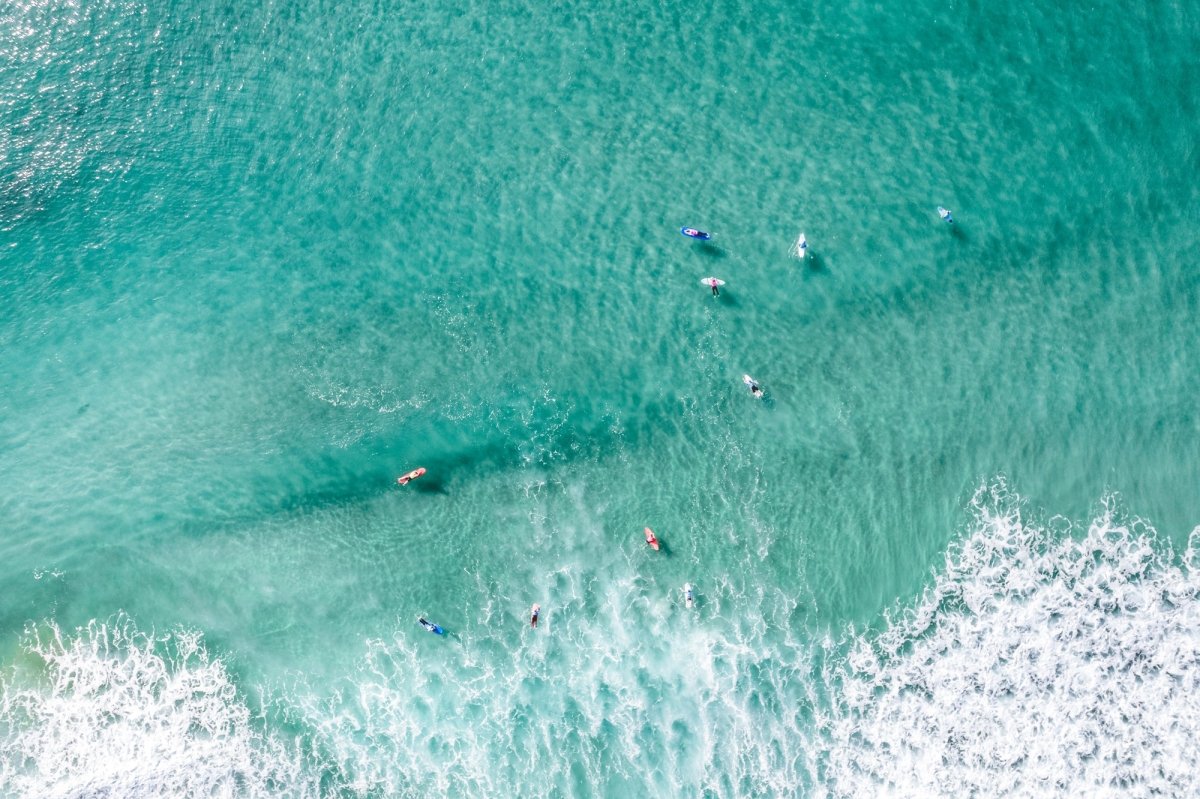 "Salty Society" Photography Print - Belinda Doyle - Australian Photographer & Resin Artist