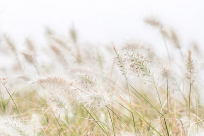 "Seaside Breeze" Photography Print - Belinda Doyle - Australian Photographer & Resin Artist