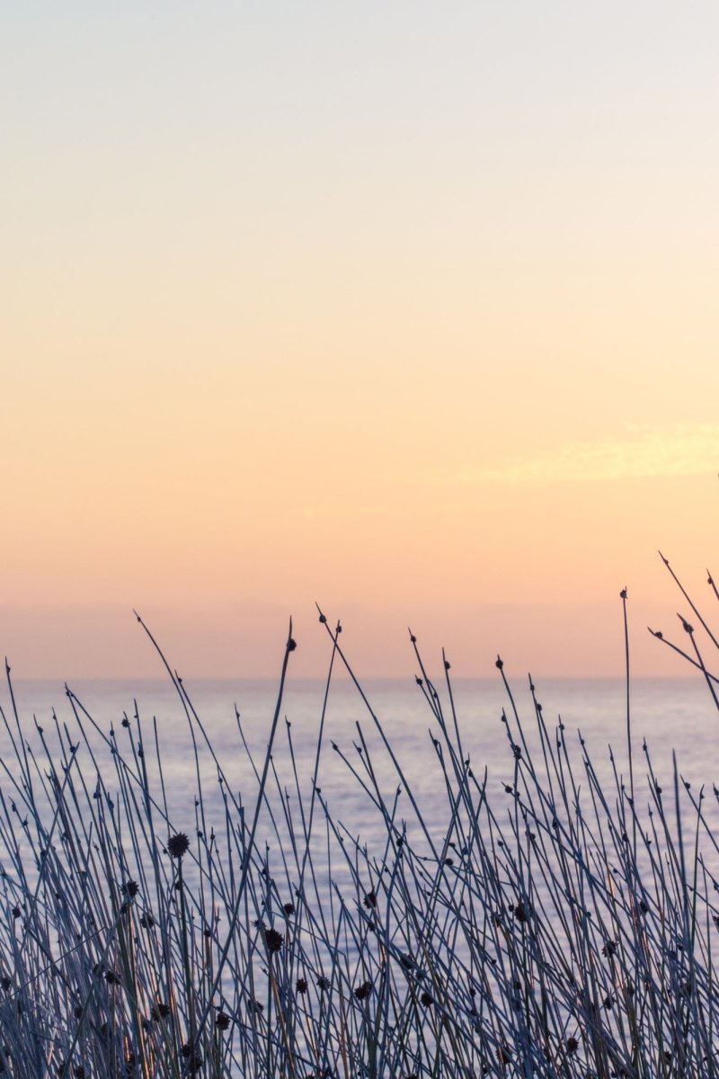 "Summer Haze" Photography Print - Belinda Doyle - Resin Artist & South Coast Photographer