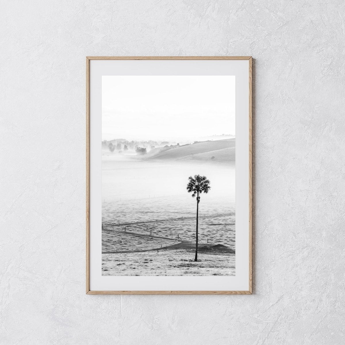 "Swamp Fog BW" Photography Print - Belinda Doyle - Australian Photographer & Resin Artist