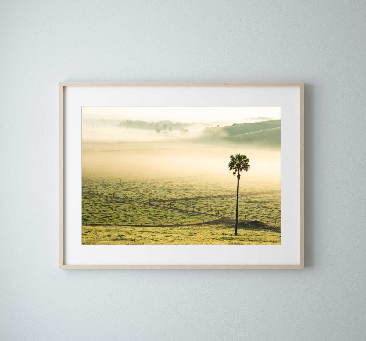 "Swamp Fog LS" Photography Print - Belinda Doyle - Resin Artist & South Coast Photographer