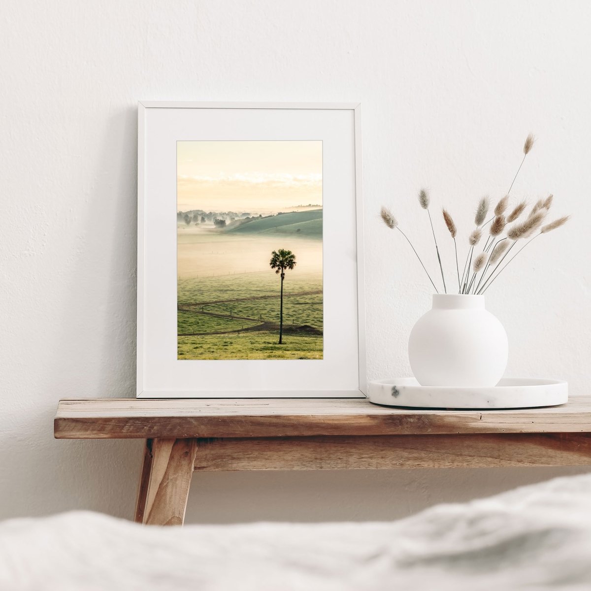 "Swamp Fog" Photography Print - Belinda Doyle - Resin Artist & South Coast Photographer