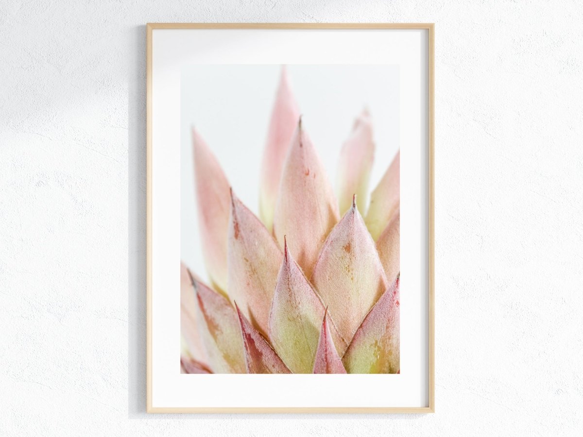 "The King" Photography Print - Belinda Doyle - Australian Photographer & Resin Artist