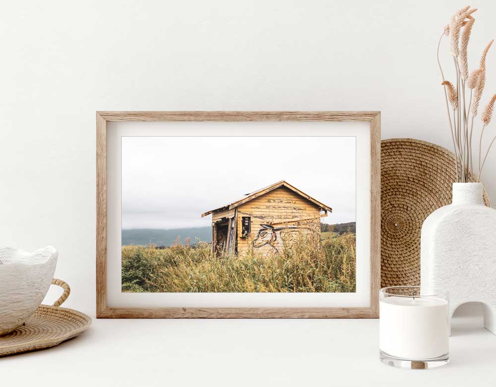 "The Prowler" Photography Print - Belinda Doyle - Resin Artist & South Coast Photographer