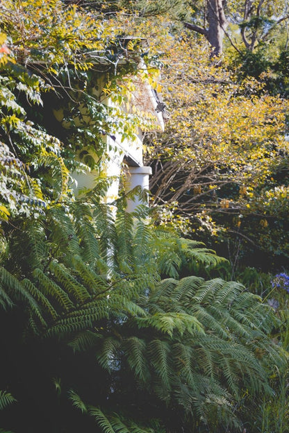 "The Secret Garden" Photography Print - Belinda Doyle - Australian Photographer & Resin Artist