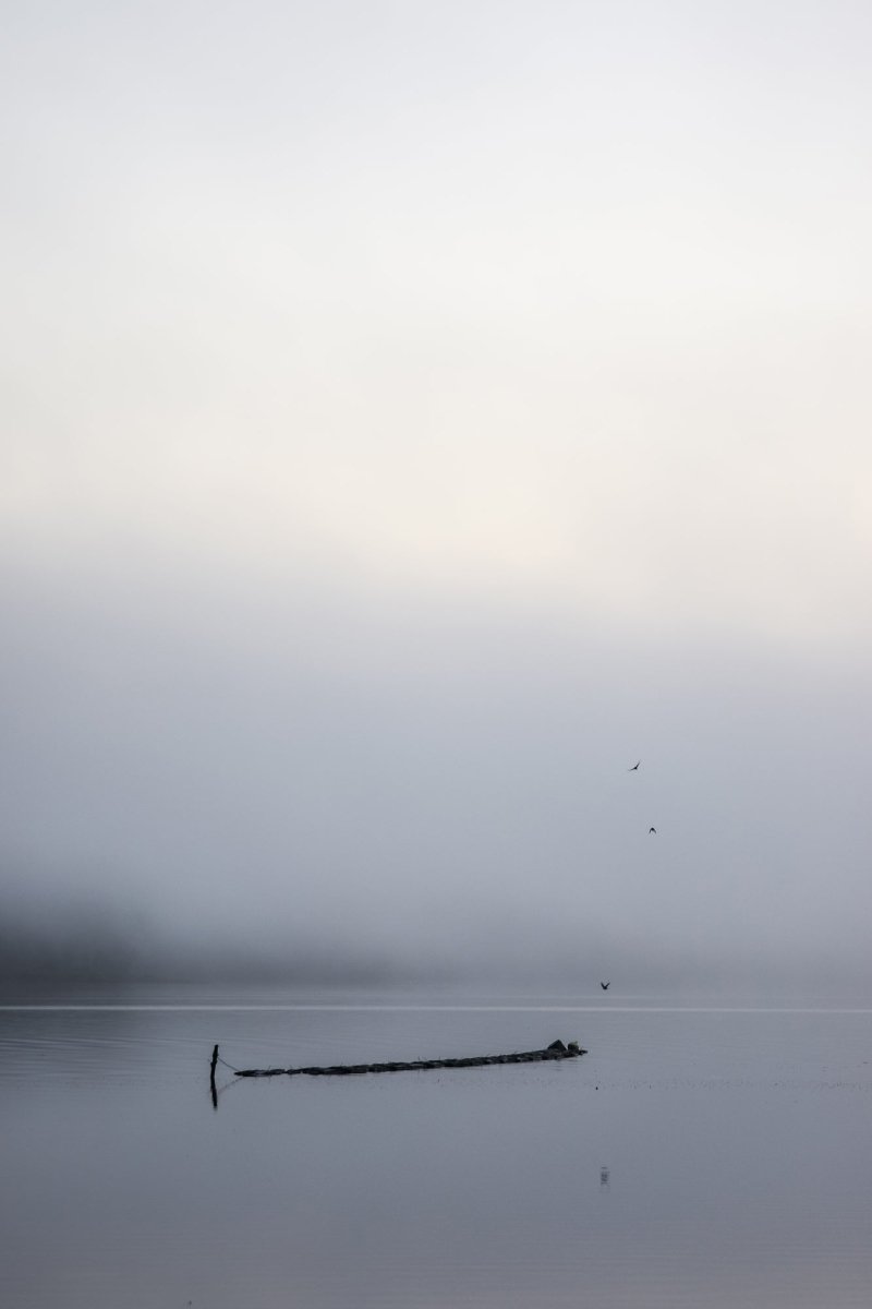 "The Silence" Photography Print - Belinda Doyle - Resin Artist & South Coast Photographer