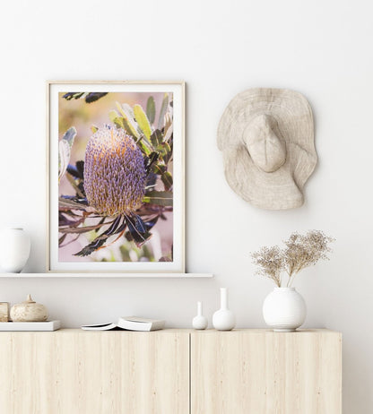 "Tinge of Mauve - Banksia" Photography Print - Belinda Doyle - Resin Artist & South Coast Photographer